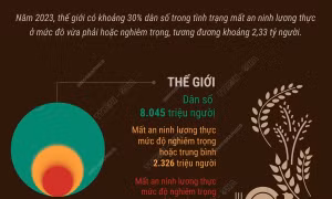Khoảng 30% dân số thế giới đối mặt với tình trạng mất an ninh lương thực