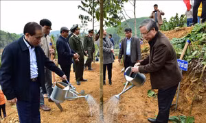 Đồng chí Trần Quốc Vượng dự Lễ phát động Tết trồng cây tại Tuyên Quang