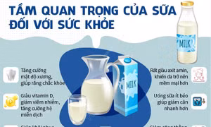 Ngày Sữa Thế giới 1/6: Tầm quan trọng của sữa đối với sức khỏe