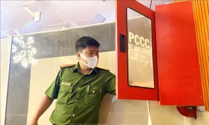 Hải Phòng: Kiên quyết đình chỉ hoạt động cơ sở kinh doanh không đủ điều kiện