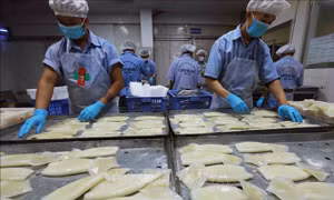 Xuất khẩu thủy sản thích nghi với thay đổi