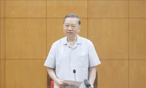 Tổng Bí thư, Chủ tịch nước Tô Lâm chủ trì cuộc họp về công tác nghiên cứu khoa học cơ bản