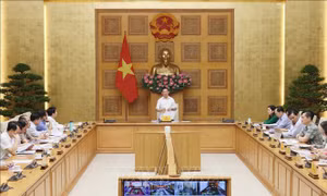 Đẩy mạnh giải ngân vốn đầu tư công, quản lý đầu tư chặt chẽ