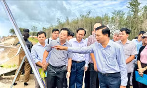 Vĩnh Long: Khảo sát mô hình trọng điểm và thực trạng sạt lở tại một số khu vực