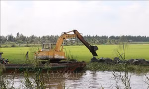 Tây Ninh khẩn trương gia cố 110 km đê xung yếu, bảo vệ sản xuất