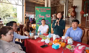 Kết nối doanh nghiệp - mở lối phát triển bền vững cho sầu riêng