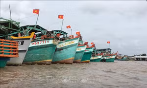 Thay thế Nghị định 67 - Bài cuối: Thêm chính sách hiệu quả