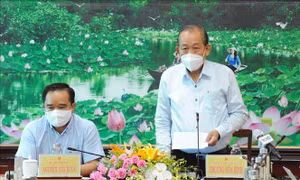 Phó Thủ tướng Trương Hòa Bình: Long An cơ bản kiểm soát dịch COVID-19 nhưng không được mất cảnh giác