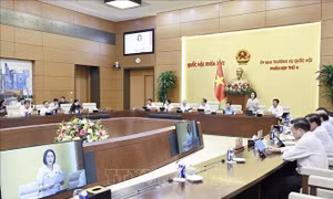  UBTV Quốc hội cho ý kiến về dự án Luật Kinh doanh Bất động sản (sửa đổi), dự án Luật Nhà ở (sửa đổi)