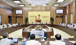 Hoàn thiện cơ chế điều tiết, thúc đẩy thị trường bất động sản phát triển lành mạnh