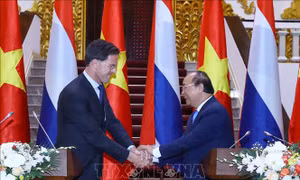 Toàn văn Tuyên bố chung Việt Nam - Hà Lan