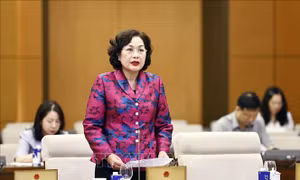 Ngân hàng Nhà nước sẽ tiếp tục rà soát các quy định về xử lý khoản vay đặc biệt