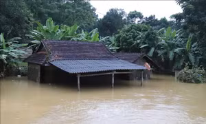 Nghệ An: Huyện miền núi Quỳ Châu thiệt hại nặng do lũ ống, lũ quét
