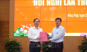 Chuẩn y ông Trần Trí Quang giữ chức Phó Bí thư Tỉnh ủy Đồng Tháp