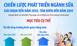 Chiến lược phát triển ngành sữa giai đoạn đến năm 2030, tầm nhìn đến năm 2045