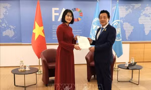 FAO luôn coi trọng Việt Nam là đối tác quan trọng trong khu vực