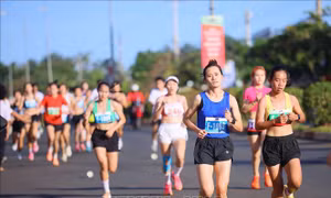 Trên 1.700 vận động viên 'Chinh phục đỉnh cao Bà Rá' 