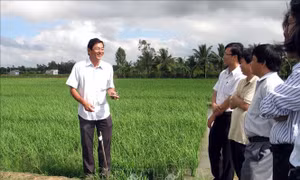 Nâng cao năng lực nghiên cứu, sản xuất giống cây trồng, vật nuôi