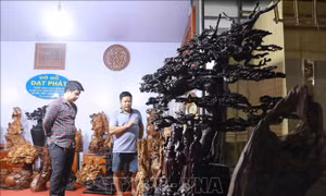 Khai mạc Hội chợ làng nghề và sản phẩm OCOP Việt Nam năm 2020