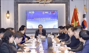 Chủ tịch Quốc hội gặp mặt thành viên Mạng lưới Đổi mới sáng tạo và chuyên gia Việt Nam tại Hàn Quốc