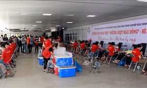 Nam Định đẩy mạnh phát triển phong trào hiến máu tại khu công nghiệp 