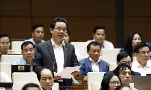 Tăng cường nguồn lực để giữ vững thị trường trong nước