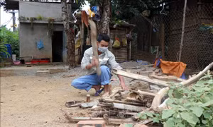 Sơn La: Giải quyết việc làm cho lao động trở về địa phương 