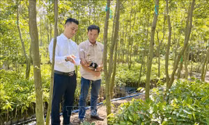 Bùng nổ doanh thu nhờ công nghệ