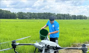 Sandbox - Nguồn lực đột phá cho phát triển