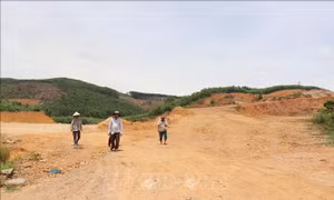 Phản hồi thông tin của TTXVN: Lập phương án bồi thường, hỗ trợ khi thu hồi đất