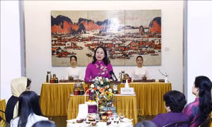 Phó Chủ tịch nước gặp mặt các nữ Đại sứ, Trưởng đại diện các tổ chức quốc tế tại Việt Nam