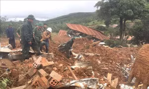 Nghệ An đề nghị Bộ Tư lệnh Quân khu 4 hỗ trợ lực lượng khắc phục hậu quả mưa lũ