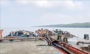 Đồng Nai: Phát hiện, bắt giữ 3 phương tiện vận chuyển cát không rõ nguồn gốc xuất xứ