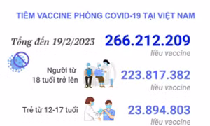 Tình hình tiêm vaccine phòng COVID-19 tại Việt Nam tính đến hết ngày 19/2/2023