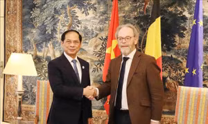 Việt Nam - Bỉ - EU chung tay vì phát triển xanh và bền vững