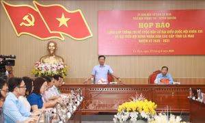 Cà Mau: Đẩy mạnh tuyên truyền, tạo sức lan tỏa cho ngày hội lớn của dân tộc
