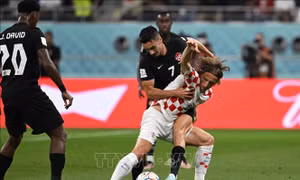WOLRD CUP 2022: BẢNG F - Cuộc chiến 'những ông già' giữa Bỉ và Croatia