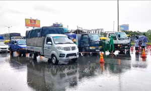 Không để việc kiểm dịch làm tắc 'luồng xanh' quốc gia