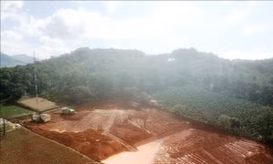 Xử lý tình trạng san ủi trái phép tại hồ Đan Kia - Suối Vàng