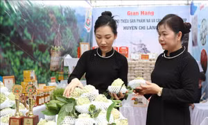 Lạng Sơn: Quảng bá, tiêu thụ na và các sản phẩm OCOP 