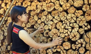 Độc đáo phong tục củi hứa hôn của người Giẻ Triêng