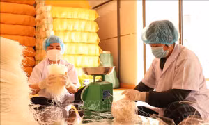 Làng miến Chi Lăng tất bật 'chạy' đơn hàng Tết