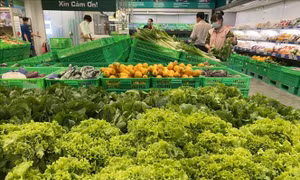 An Giang lập Tổ phản ứng nhanh và đường dây nóng hỗ trợ tiêu thụ nông sản