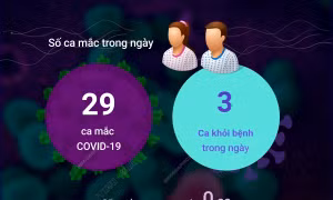 Ngày 25/6 ghi nhận 29 ca mắc COVID-19