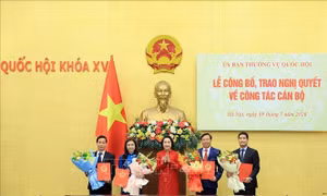 Công bố, trao Nghị quyết của Ủy ban Thường vụ Quốc hội về công tác cán bộ