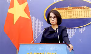 Người Phát ngôn Bộ Ngoại giao bình luận về hoạt động của trường Fulbright Việt Nam