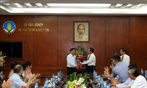 Thủ tướng bổ nhiệm và phê chuẩn kết quả bầu bổ sung cán bộ 