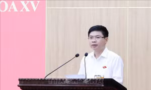 Cử tri quan tâm nhiều đến hoạt động của chính quyền địa phương 2 cấp