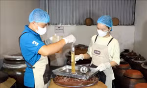 Để doanh nghiệp khởi nghiệp sáng tạo có khả năng cạnh tranh quốc tế 