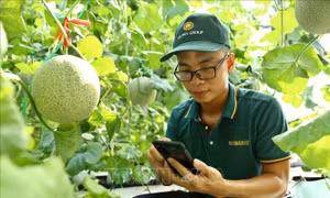 Phát triển sản phẩm OCOP, khơi dậy tiềm năng, lợi thế khu vực nông thôn
